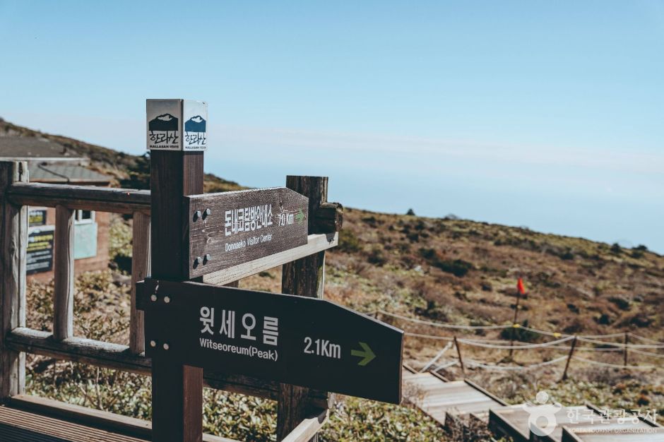 thumbnail-한라산-7