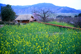 a Background site of Novel 'Land'