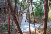 Anmyeondo Recreational Forest