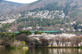 Jinhae NFRDI Environment Eco-Park