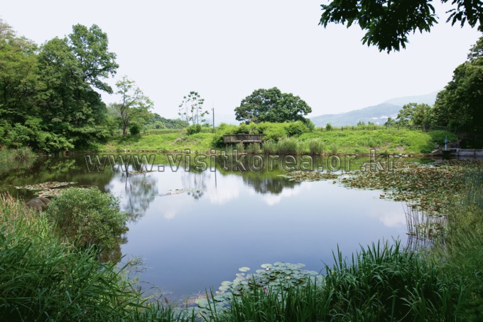 Umyeonsan Ecological Park 