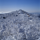 Winter of Mt.Taebaeksan Winter of Mt.Taebaeksan