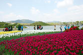 Suncheon Bay Garden EXPO 2013