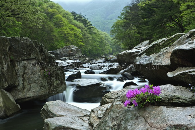 Spring of Guncheon-dong