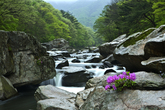Spring of Gunc..