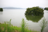 Topjeongho Reservoir Ecological Park