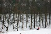 Mt.Taebaek Sno..