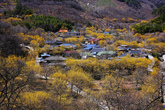 Guryeo Sansuyou Village Guryeo Sansuyou Village