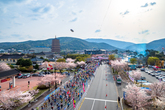 Gyeongju Cherry Marathon
