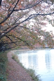 송파나루공원