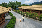 Gyeongcheon Aein Obok Village