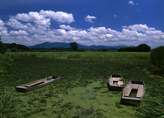 Uponeup Marsh Uponeup Marsh