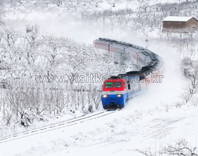 Winter Trip 