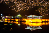 Anapji Pond