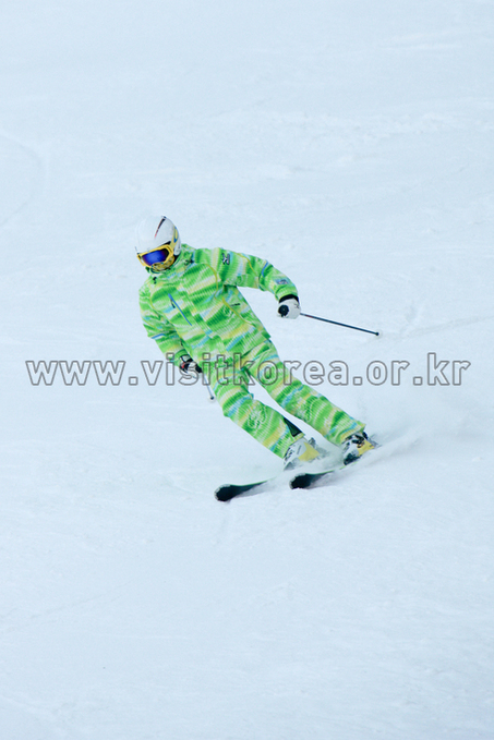 Yongpyeong Resort, Ski 