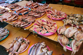 Sokcho Tourist & Fishery Market