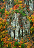 Fall Scenery of Naeyeonsan Mountain