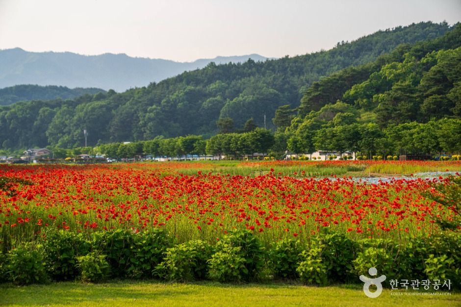 thumbnail-상림공원-26