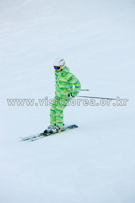 Yongpyeong Resort, Ski 