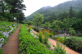 Gangneung Solhyang Arboretum