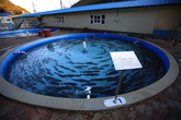 삼척민물고기전시관