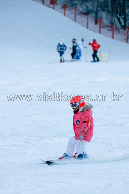 Yongpyeong Resort, Ski 