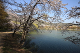 Jinhae NFRDI Environment Eco-Park