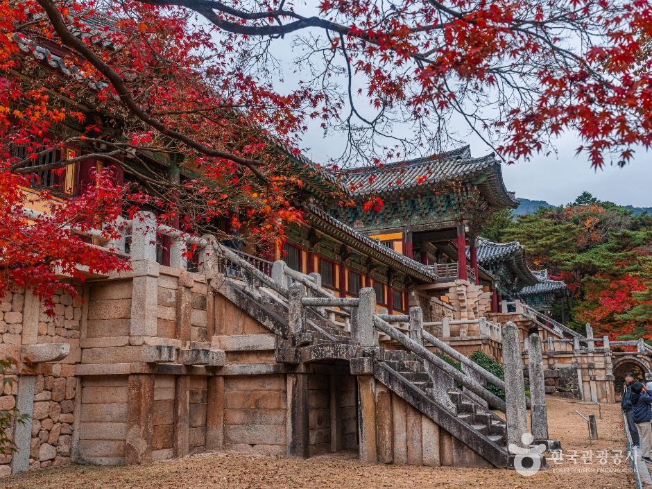 thumbnail-경주시 관광특구-5