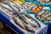 Jumunjin Pungmul Fish Market