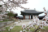 Changgyeonggung Palace