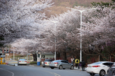 Seoul Horse Racing Park