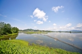 Habitat of Mig..