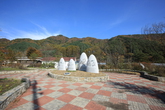 Turtelary Forest of Seongnam-ri