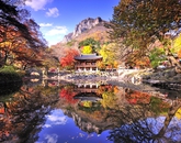 Autumn of Ssan..