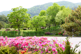 Midongsan Arboretum