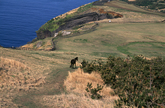 Udo Island Udo Island