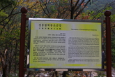 Sogeumgang in Mt.Odaesan