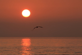 Sunrise at East Sea