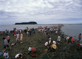 Muchangpo Beach Muchangpo Beach