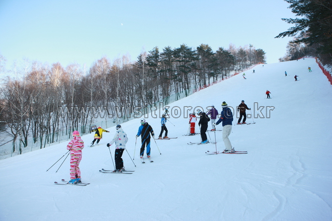 Yongpyeong Resort, Ski 