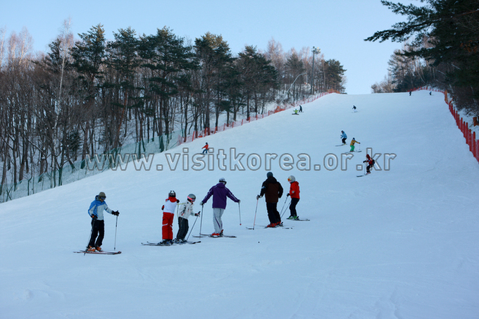 Yongpyeong Resort, Ski 