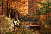 Autumn of Jangtaesan Mountain