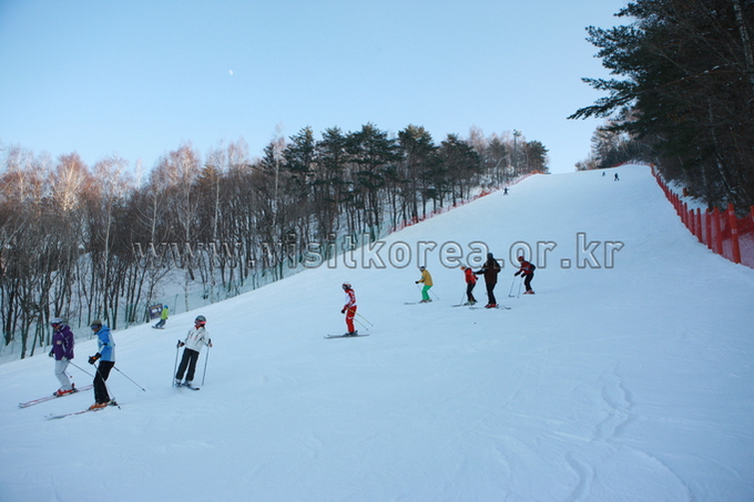 Yongpyeong Resort, Ski 