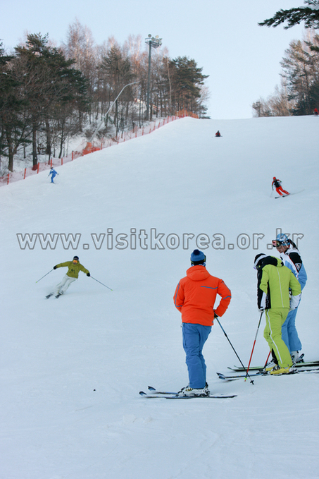 Yongpyeong Resort, Ski 