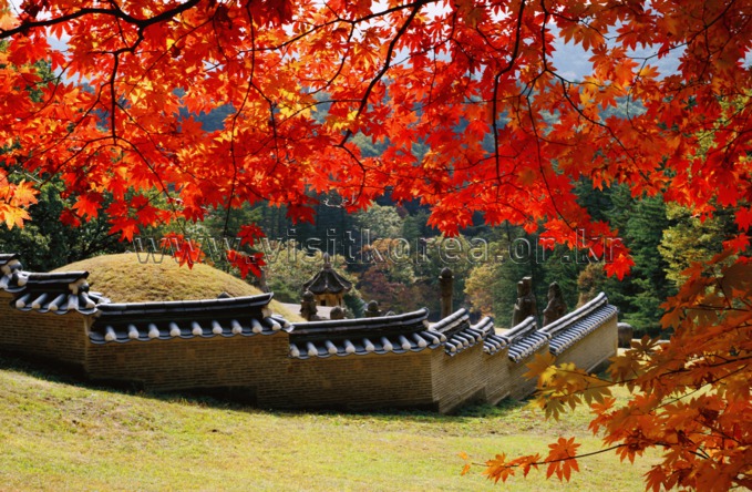 Autumn of Gwangneung 