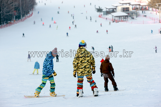 Yongpyeong Resort, Ski 
