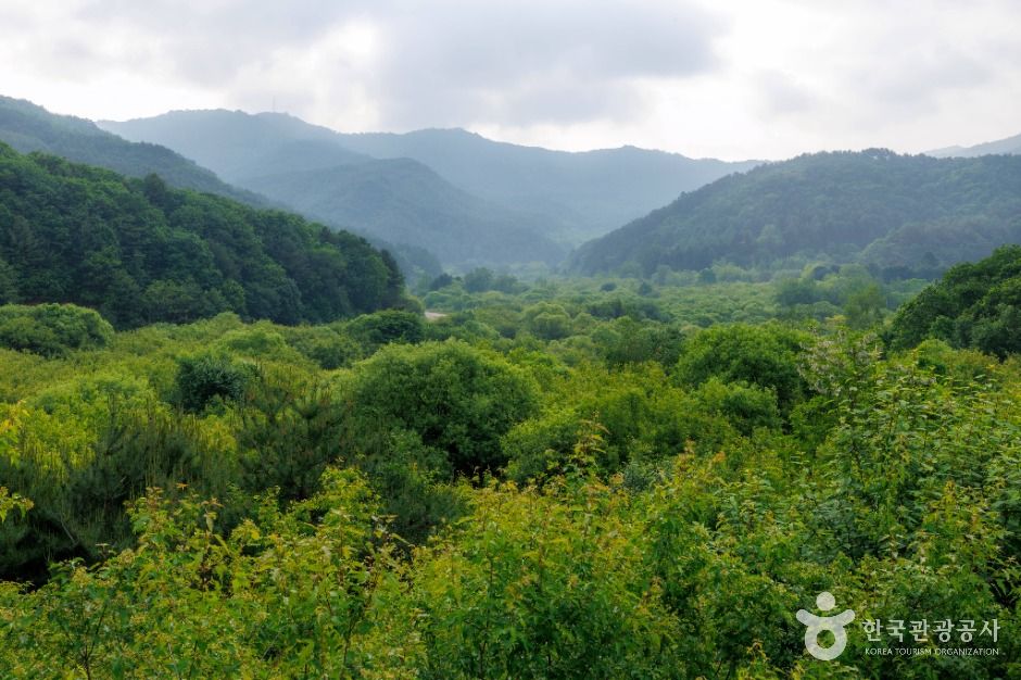 thumbnail-비밀의정원-3