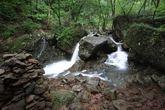 Yuchi Natural Recreation Forest
