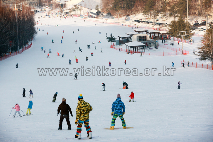Yongpyeong Resort, Ski 