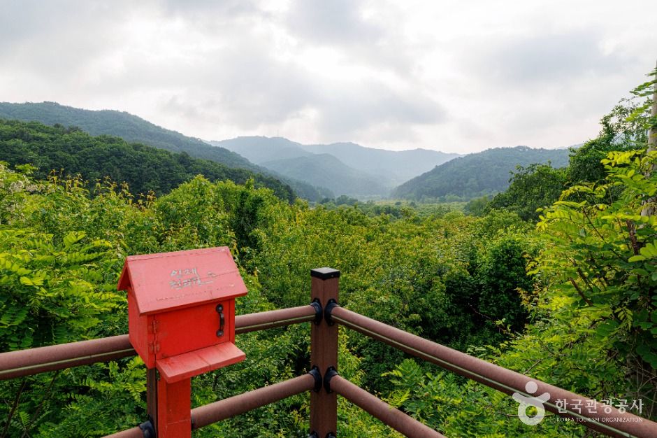 thumbnail-비밀의정원-5